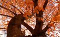 数据加密安全的在线电话测压