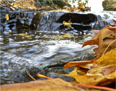 无限循环呼叫手机号软件